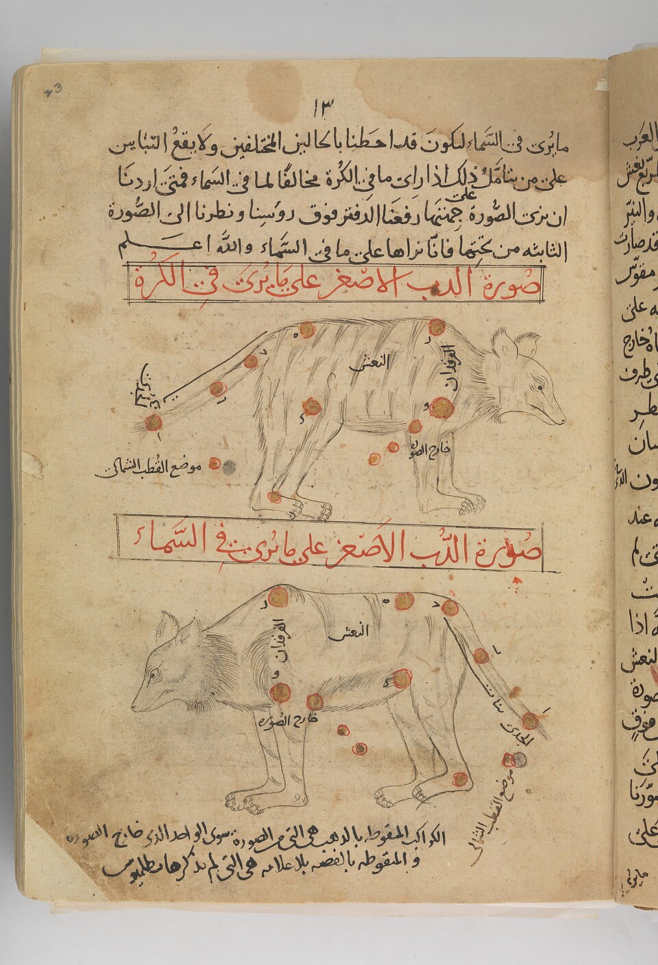 Historical illustrated star figure attributed to the al-Sufi manuscript tradition
